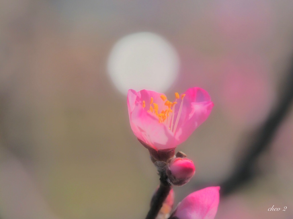feel the spring 29