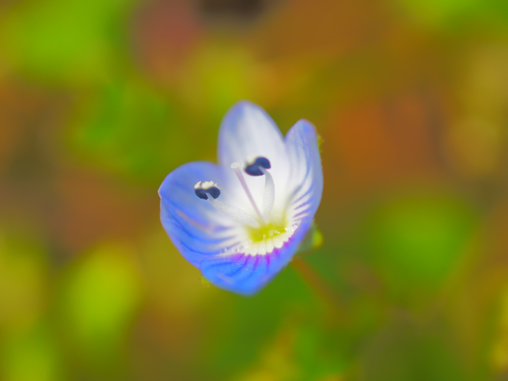 Spring has come! 85