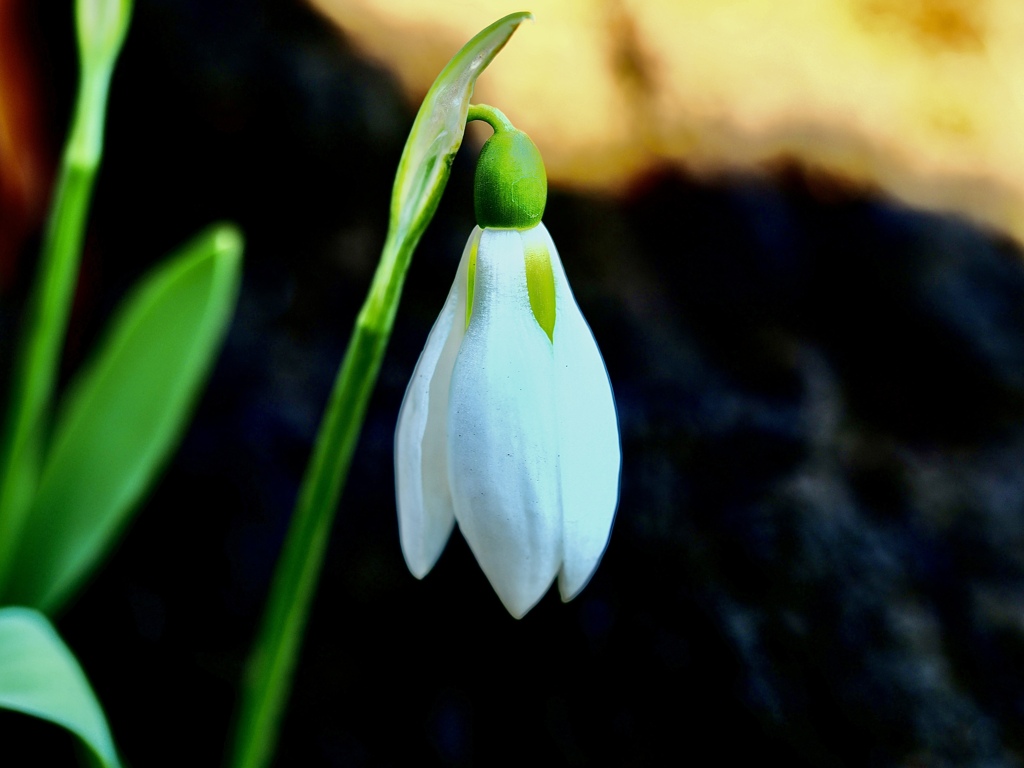 Spring has come! 9
