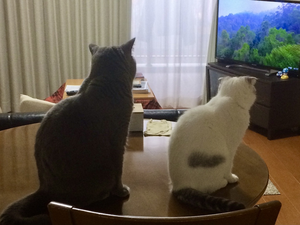 シンクロ　その1
