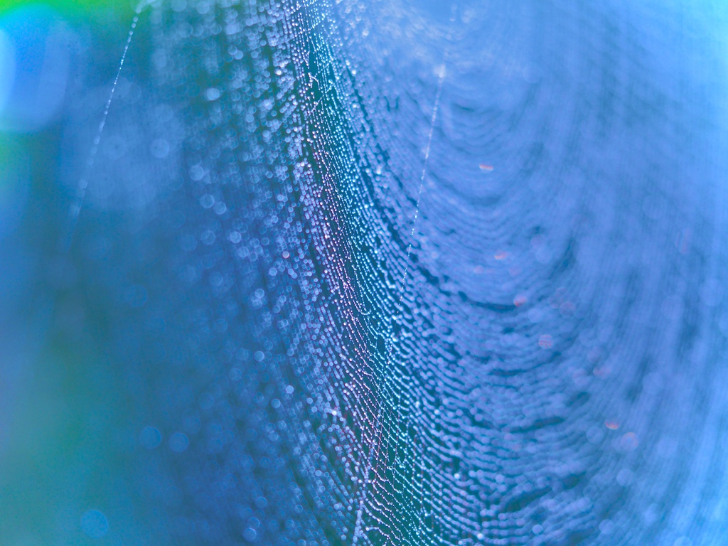 Towards a new Cosmo