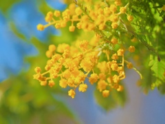 Spring has come! 82
