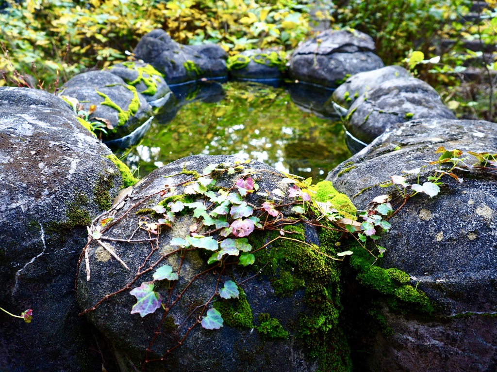 秘密の手水場