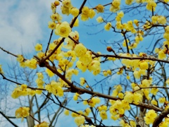 Spring has come! 4