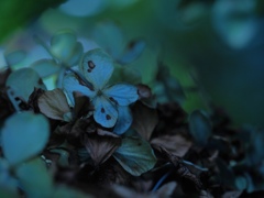 End of a season