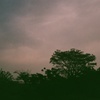 暗い森、暗い空