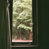 ある窓からの風景