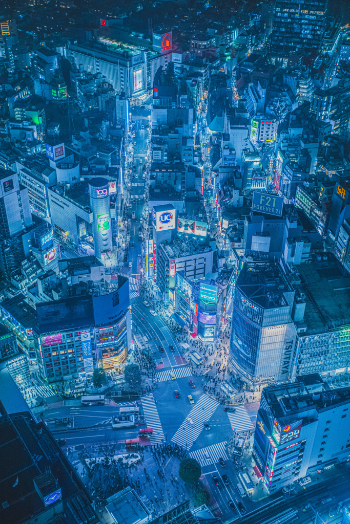 東京夜景 ③  SHI・BU・YA
