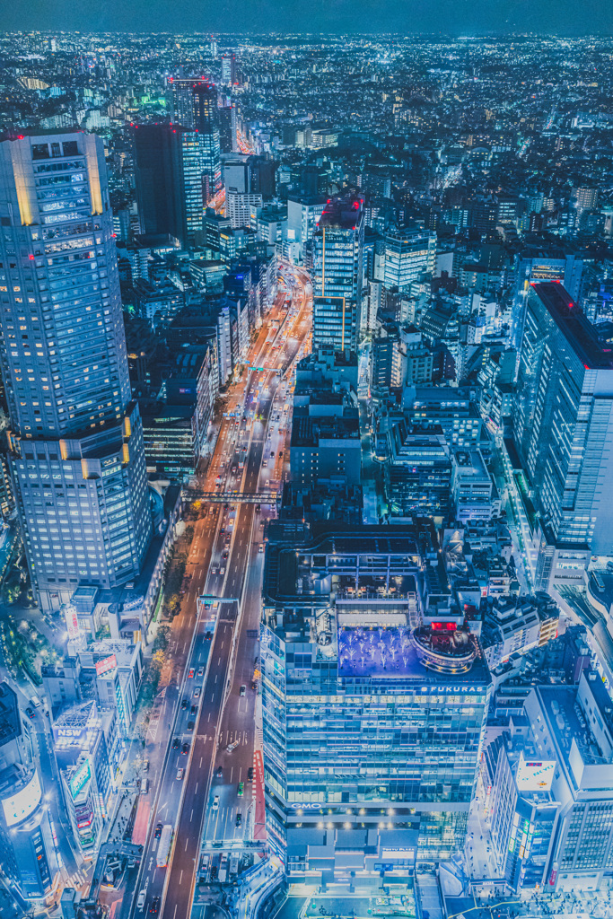 東京夜景 ②