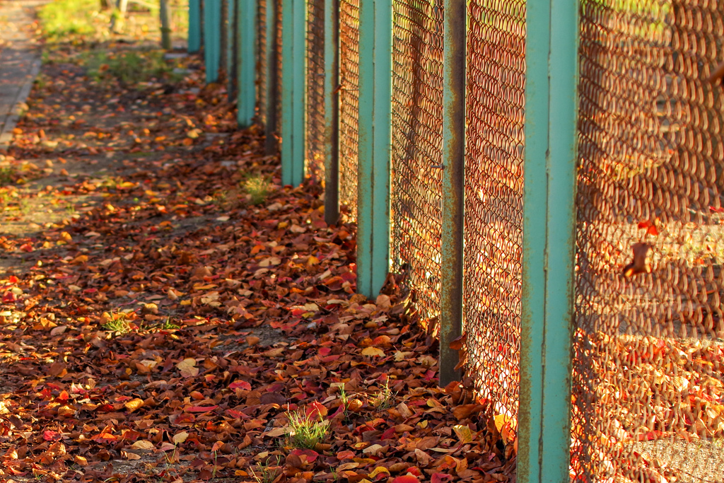 紅と碧