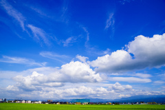 田舎の夏空