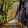 木漏れ日の山居倉庫