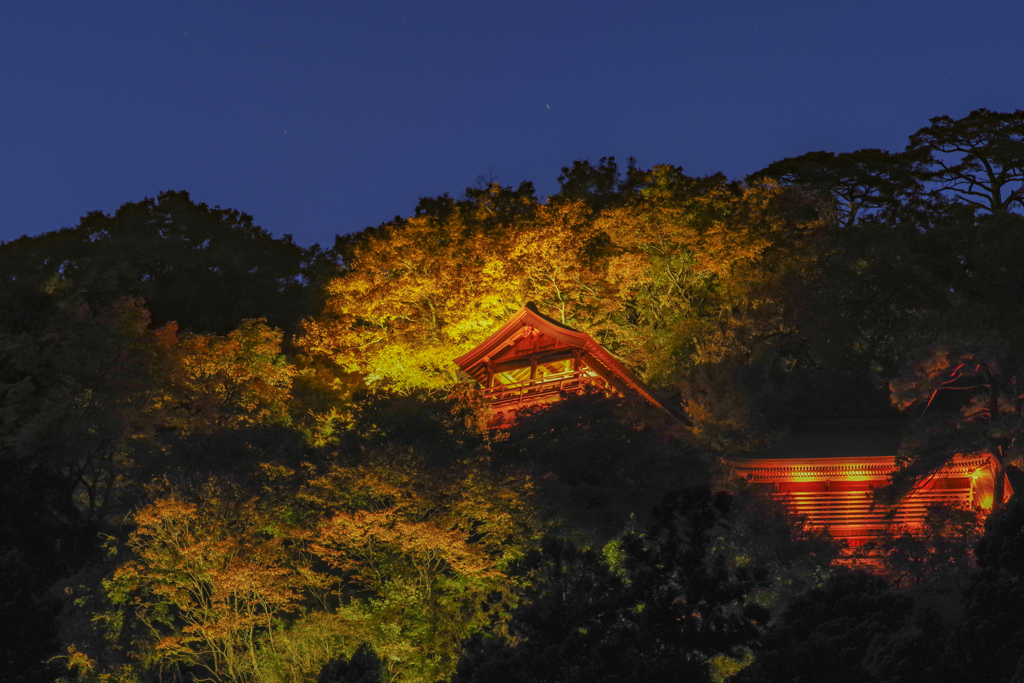 山寺ライトアップ その2