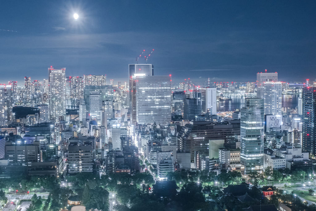 東京タワーから見る景色