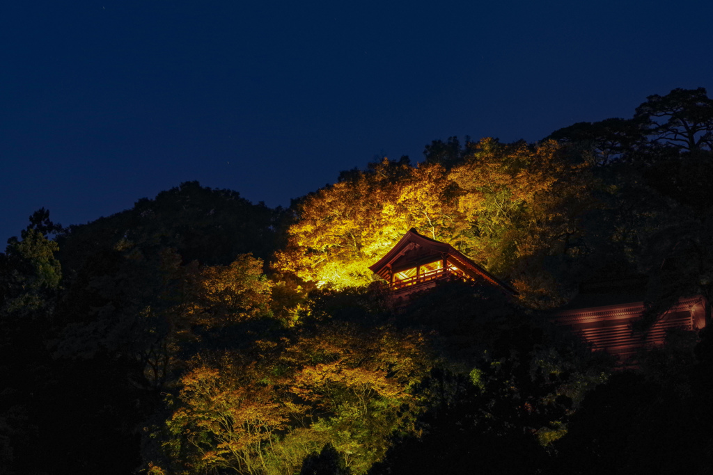 山寺ライトアップ