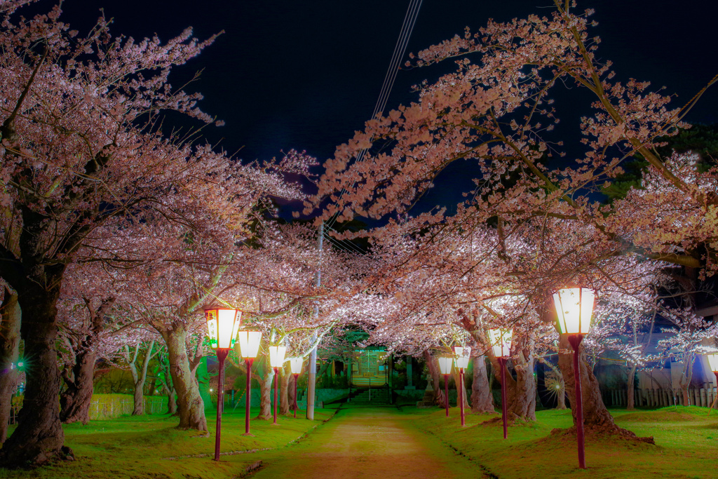真夜中の荘内神社