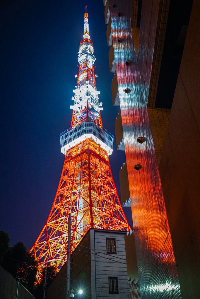 東京タワーリフレクション