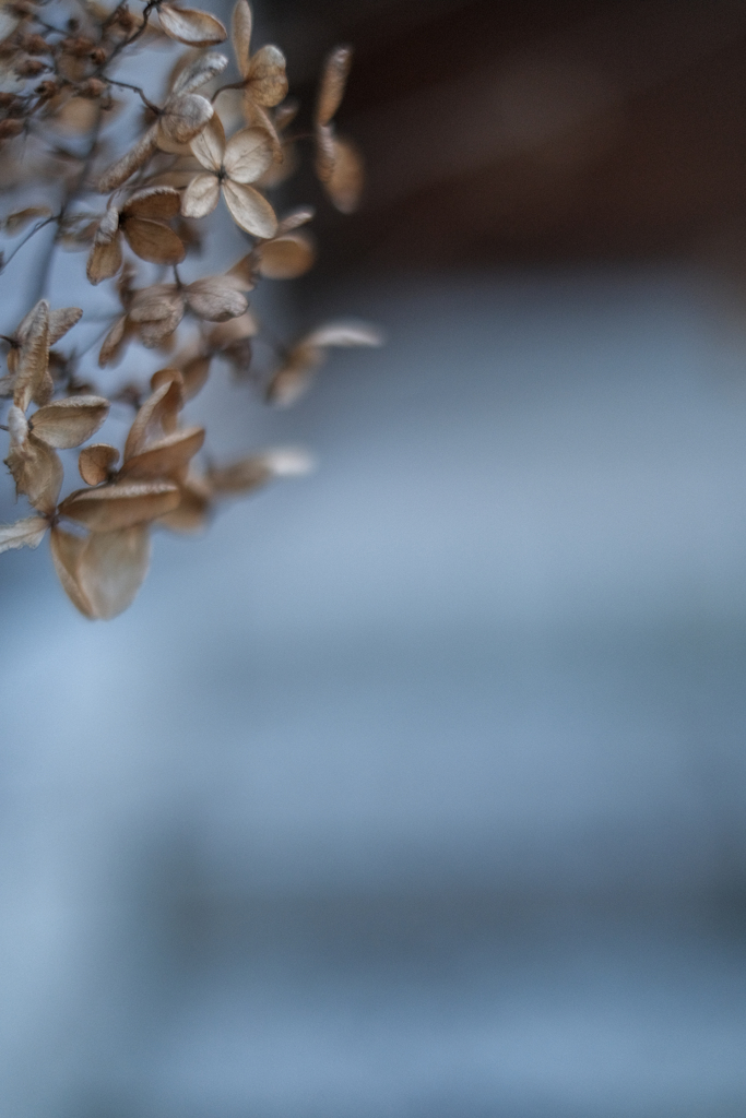 fragile