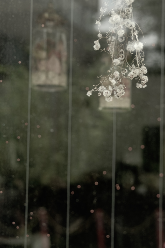 窓辺のdry