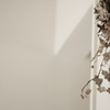 dry ivy