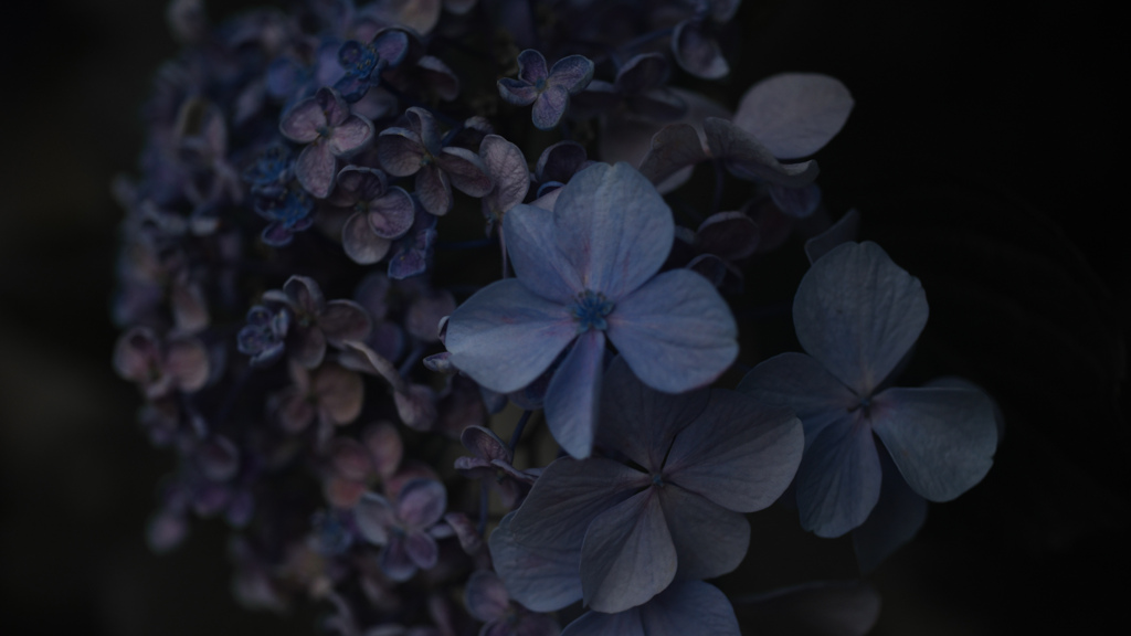 nocturne