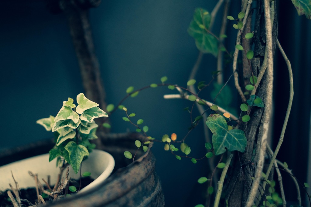 秋は少しずつ進んで行く～tiny leaves