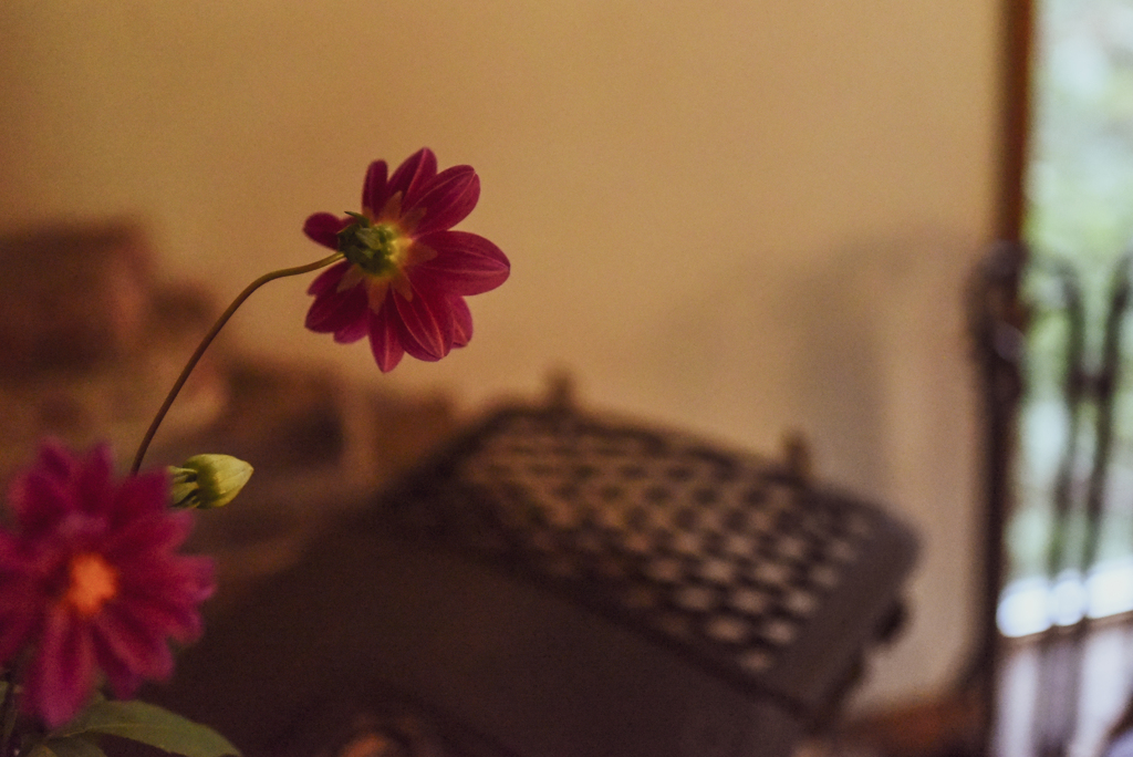 November color