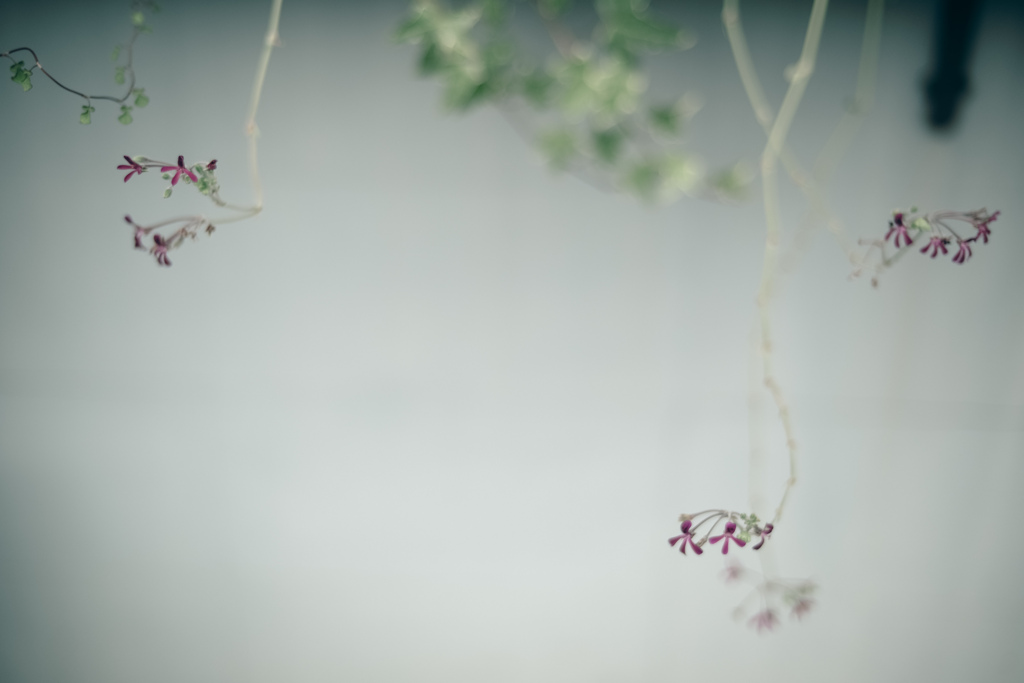 艶_seq2