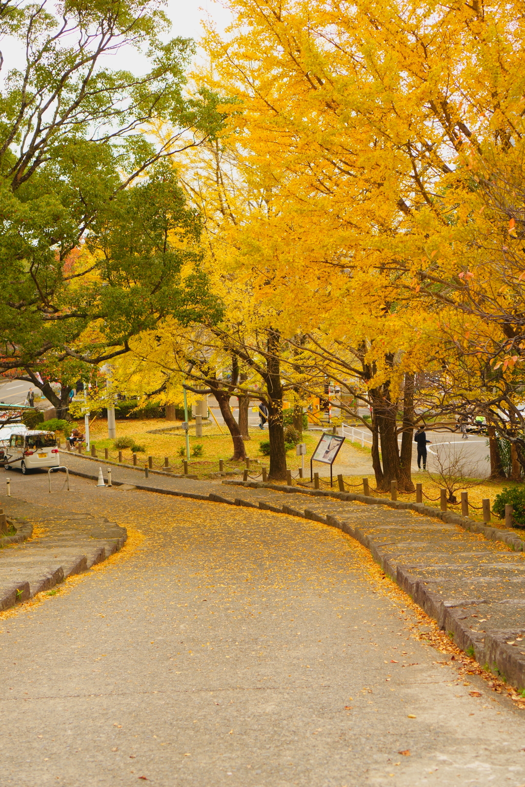 舞鶴公園にて