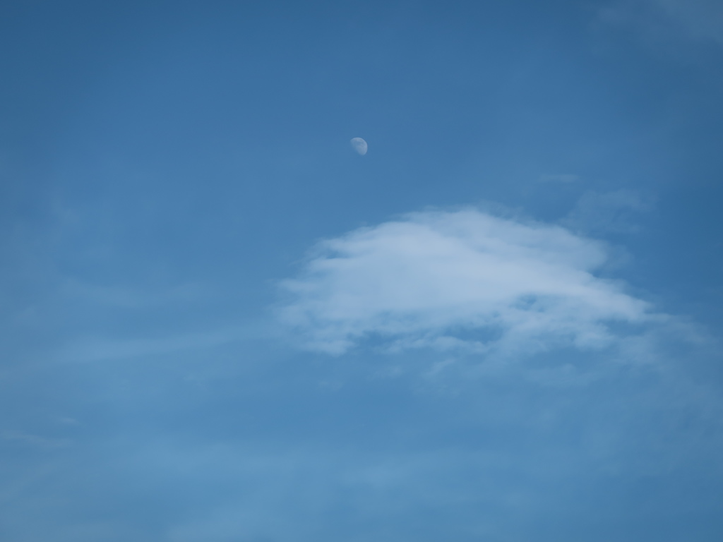 青空に浮かぶ月