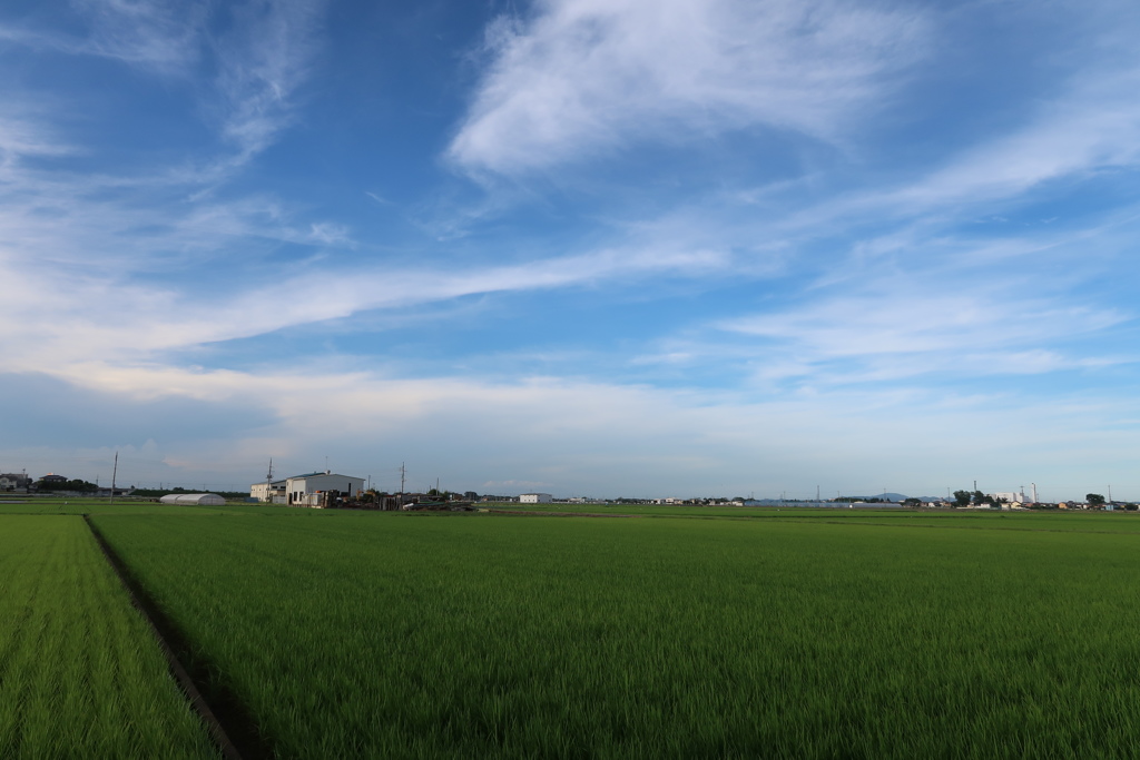緑と青