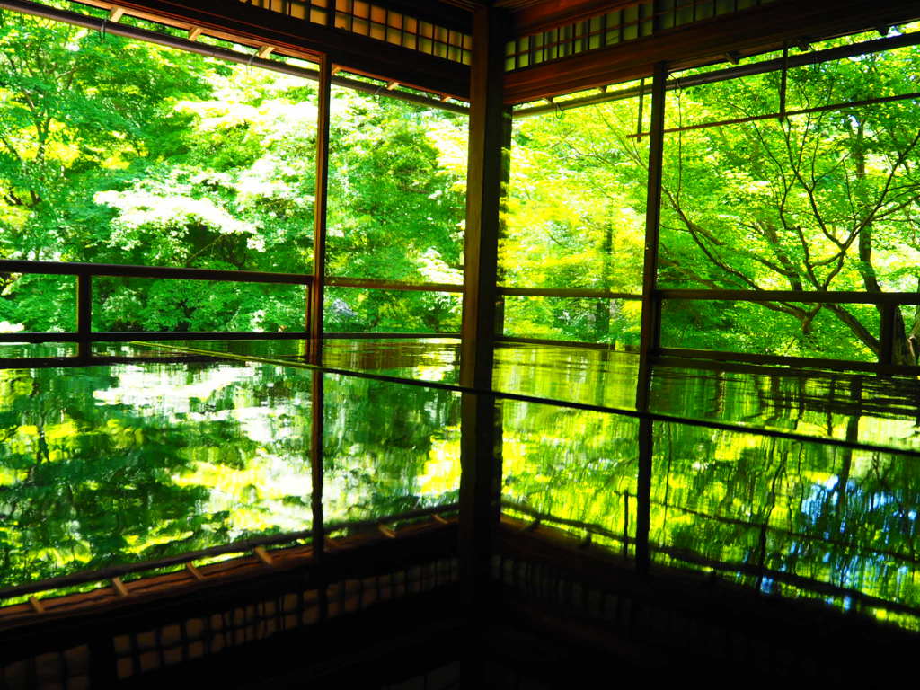 瑠璃光院  4
