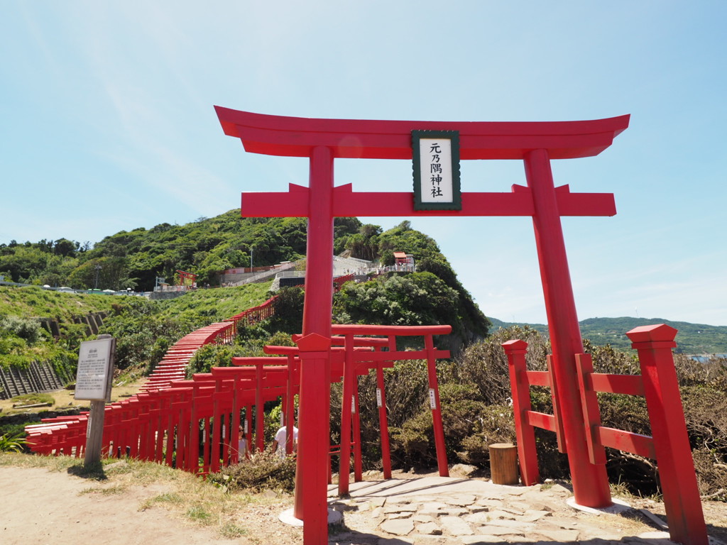 下から眺める景色