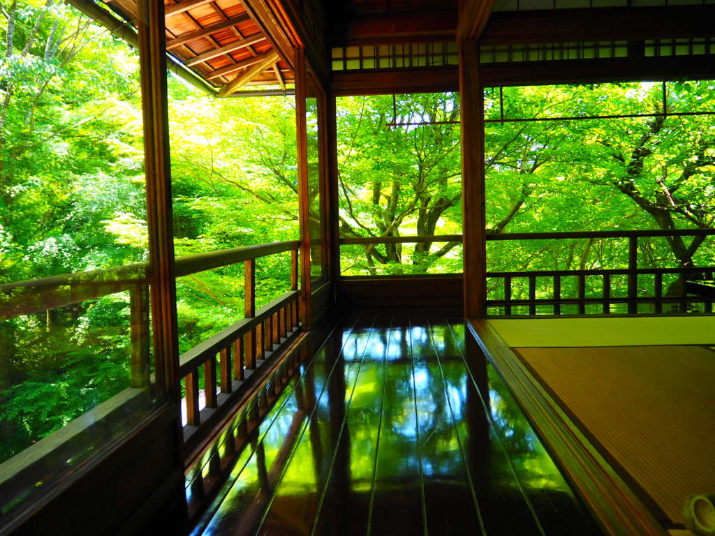 瑠璃光院  2