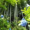 北鎌倉明月院