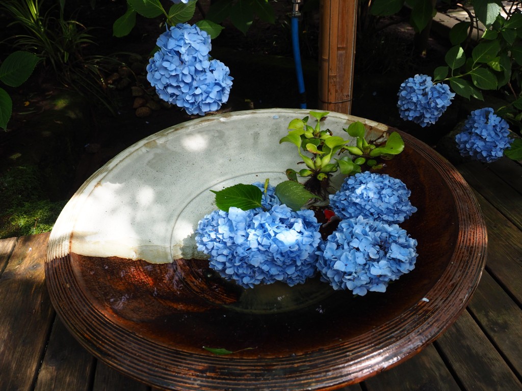 北鎌倉明月院