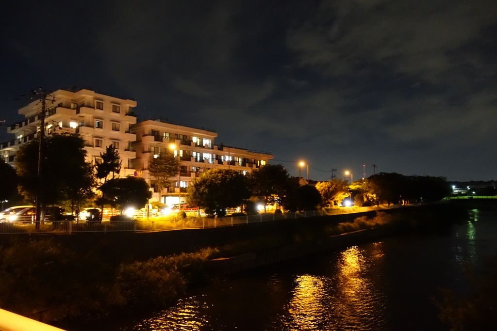 黄金色に輝いて