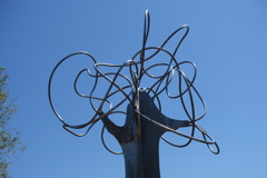 青いキャンパス