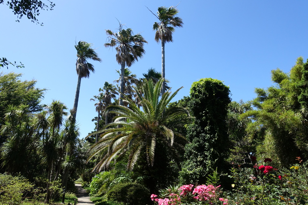 背の順に並んでます