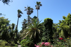 背の順に並んでます