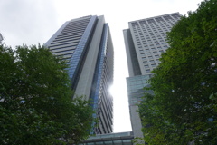 ビルの間からギョロリ