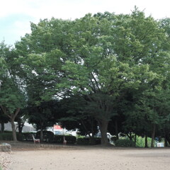 FXA52903