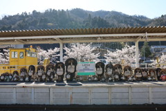 信楽駅とたぬきと桜