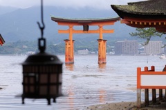 宮島