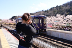 信楽駅と列車と桜