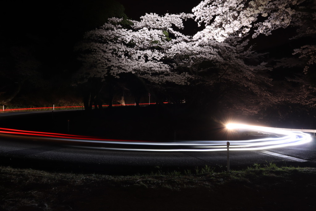 初めての撮影☆感動！