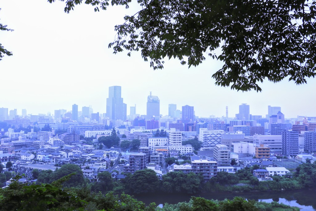 朝靄の仙台市