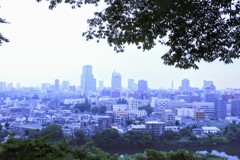朝靄の仙台市