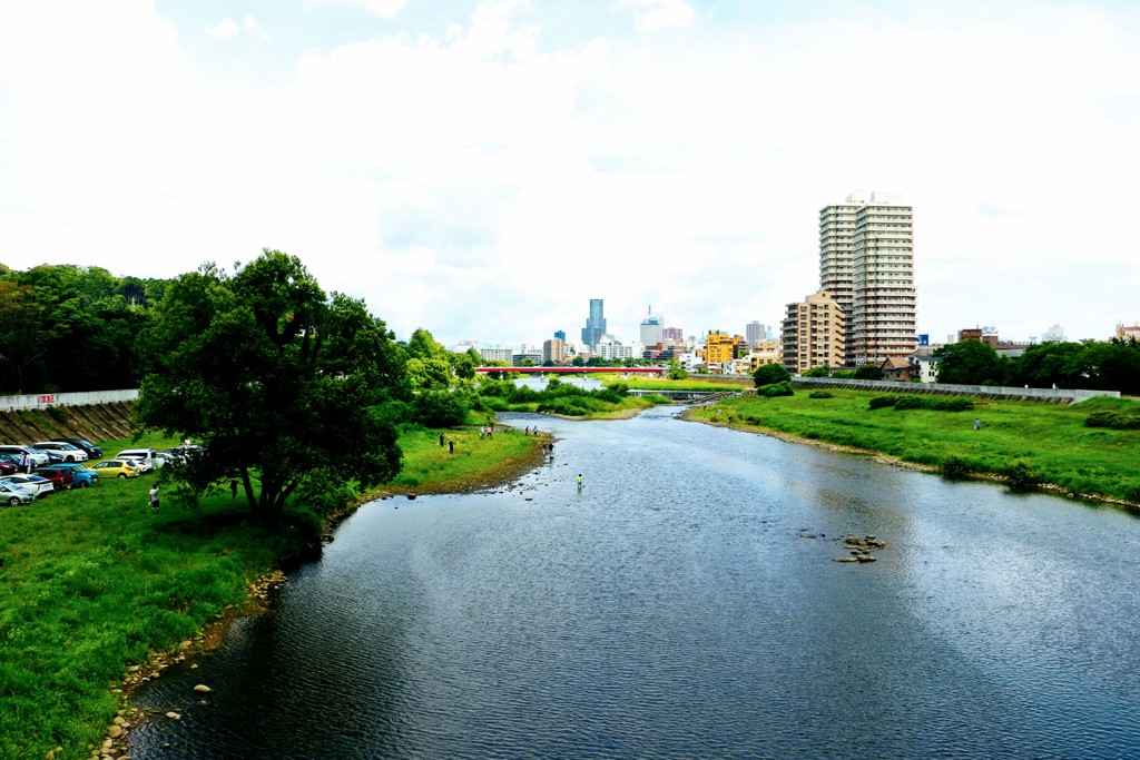 広瀬川～流れる岸辺～