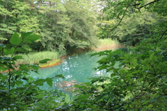 五色沼　赤沼